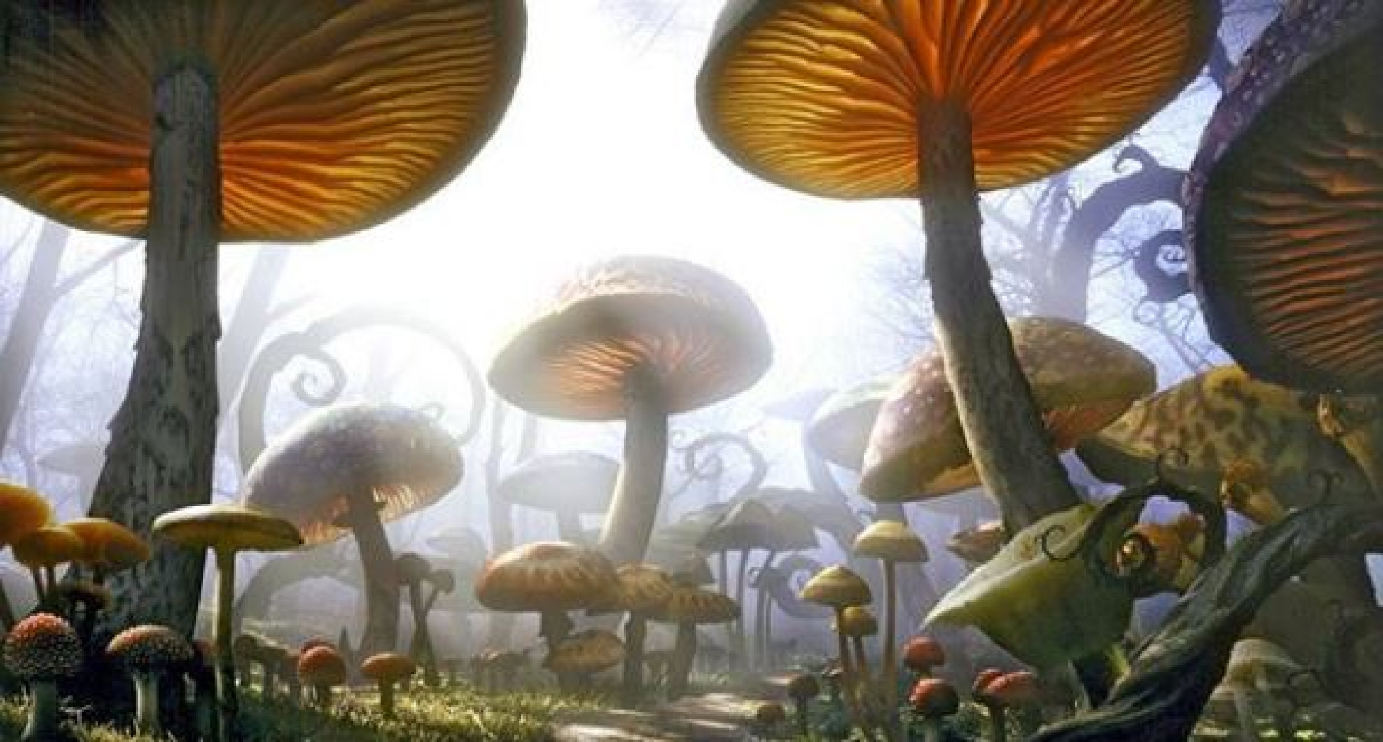 アリス イン ワンダーランド のあらすじ キャステル Castel ディズニー情報