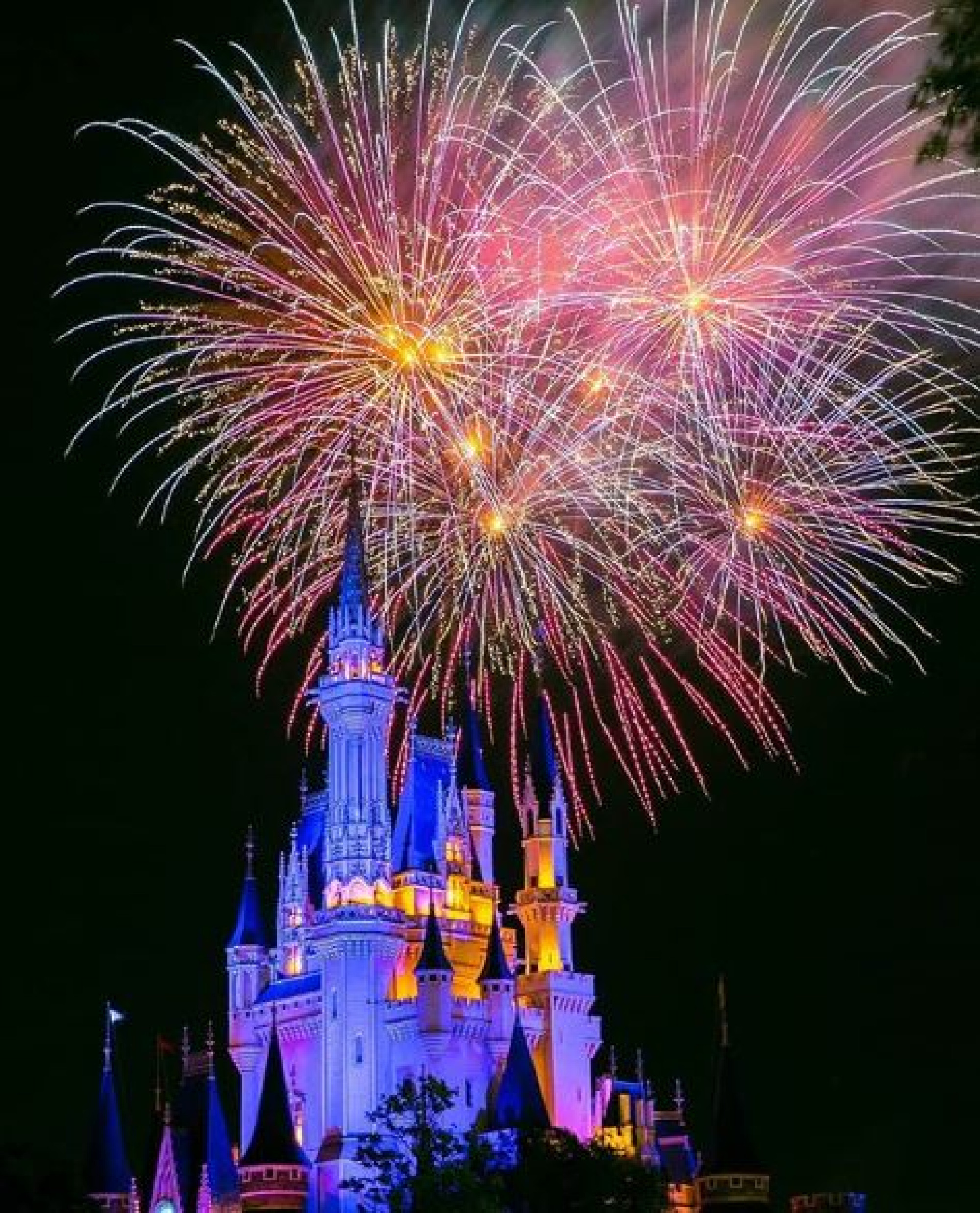 ジャングルクルーズからハピネス オン ハイを見よう キャステル Castel ディズニー情報