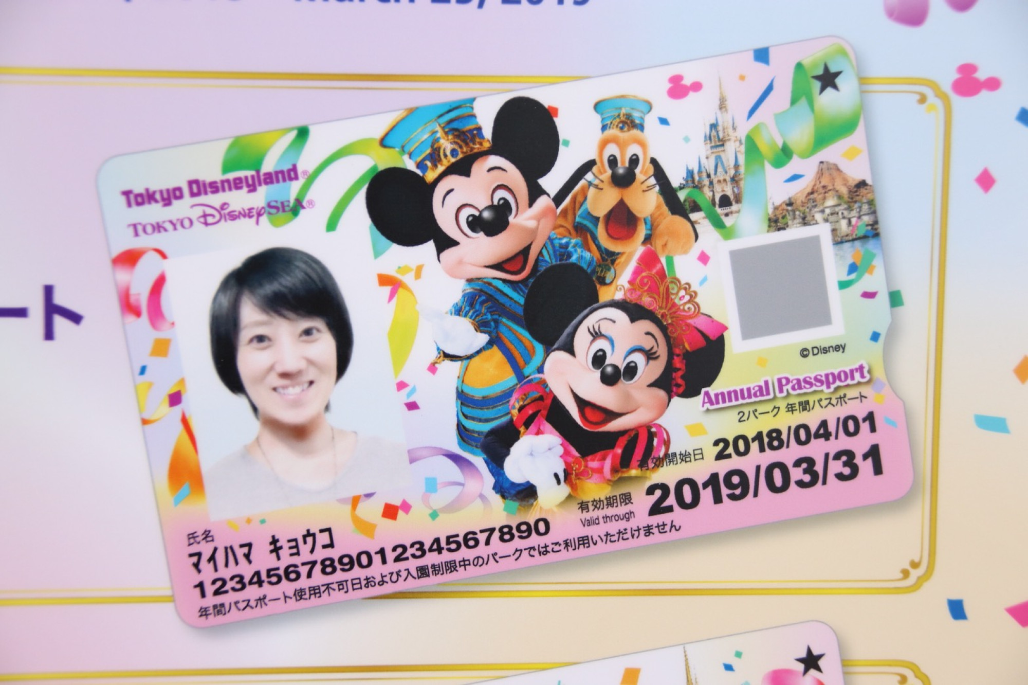 新デザイン 2パーク共通年間パスポート 18年3月1日 木 19年3月25日 月 キャステル Castel ディズニー情報