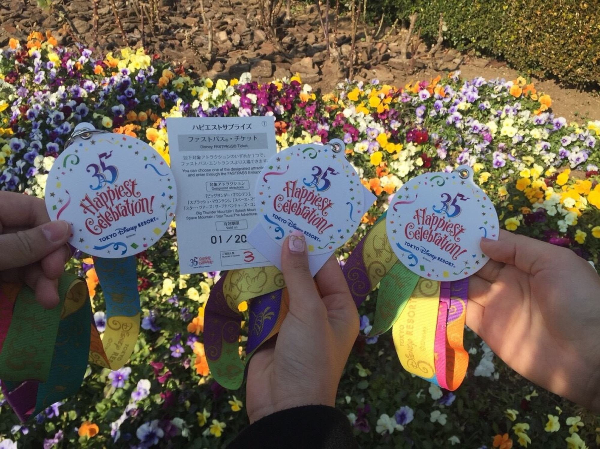 当選したファストパス キャステル Castel ディズニー情報