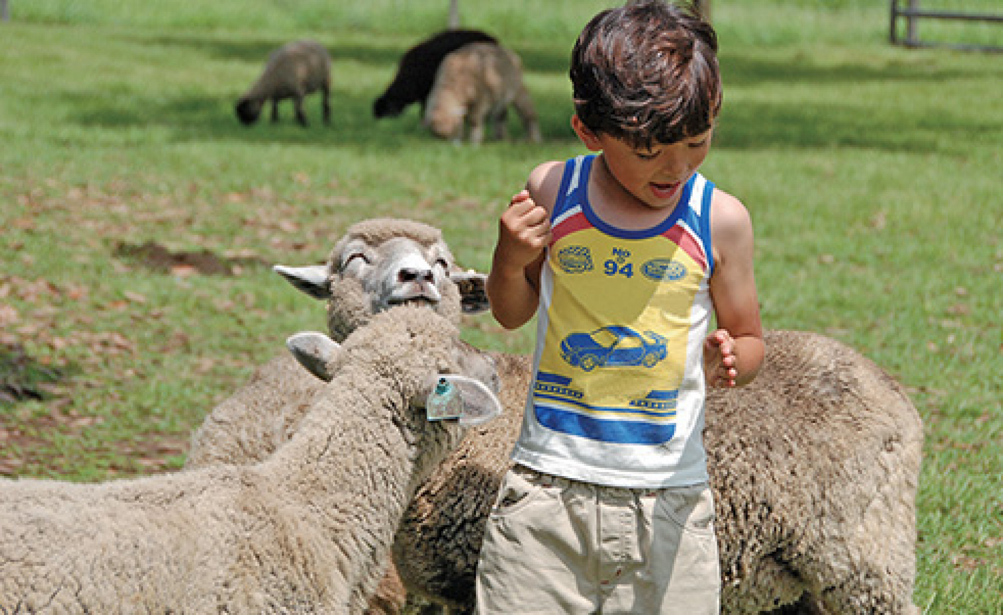 マザー牧場では動物とのふれあいイベントを毎日開催 キャステル Castel ディズニー情報