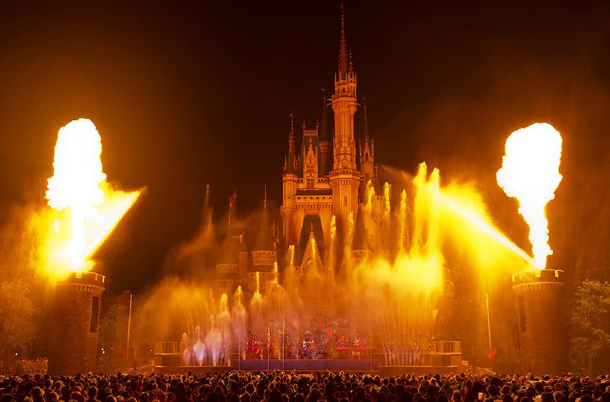 ドナルドのホット ジャングル サマー キャステル Castel ディズニー情報