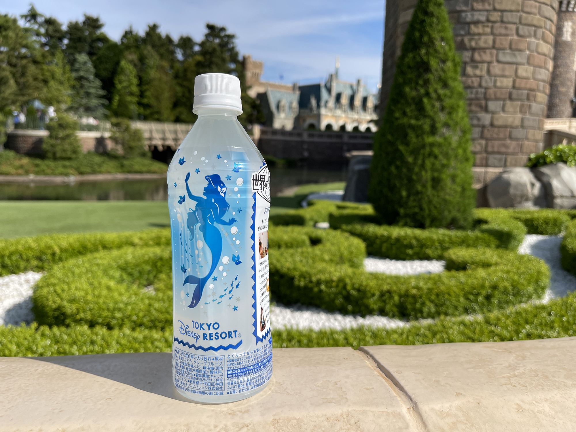 ディズニーへの持ち込み おにぎりや水筒 ペットボトルは持ち込みok 飲食物はダメ