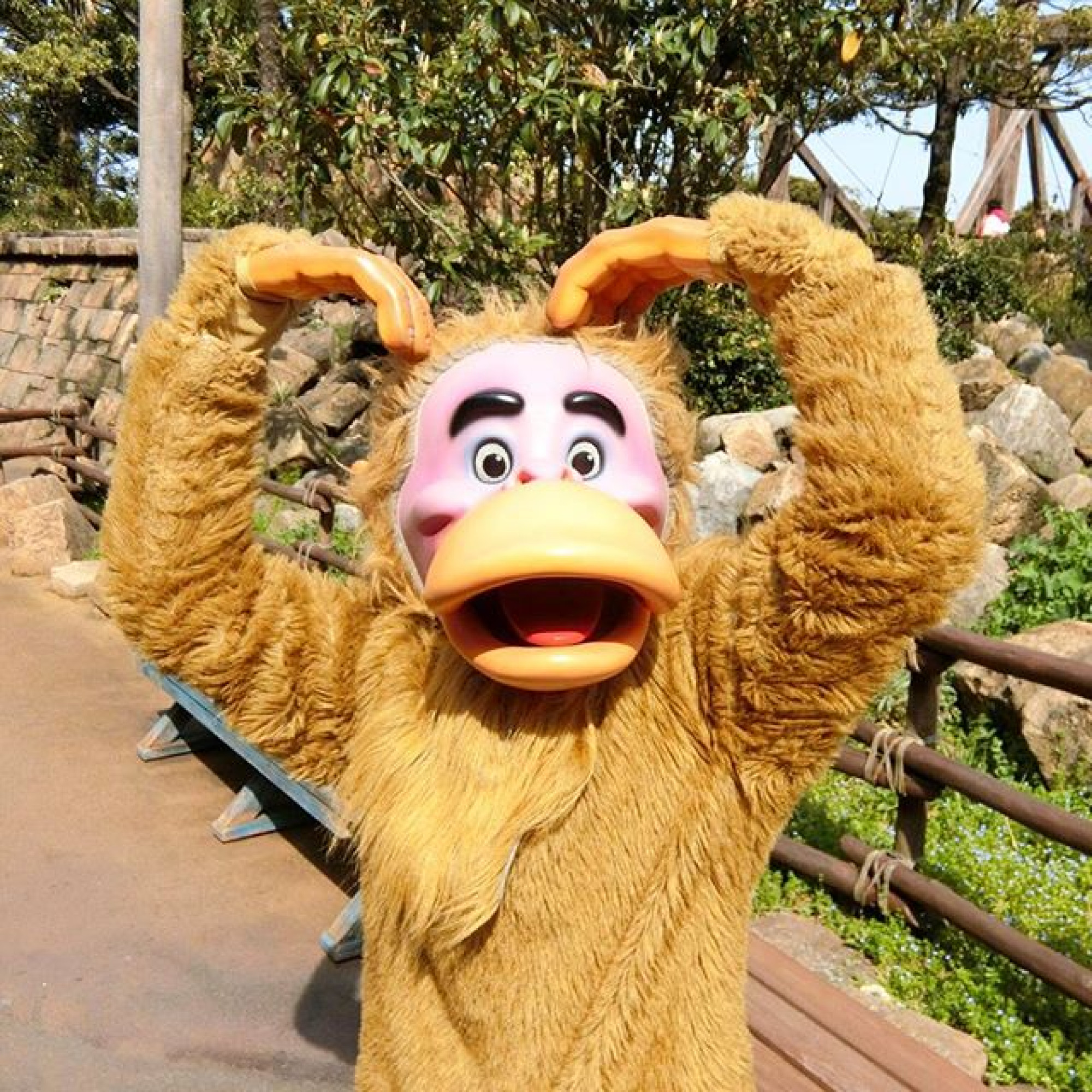 何匹かで行動していることが多い キャステル Castel ディズニー情報