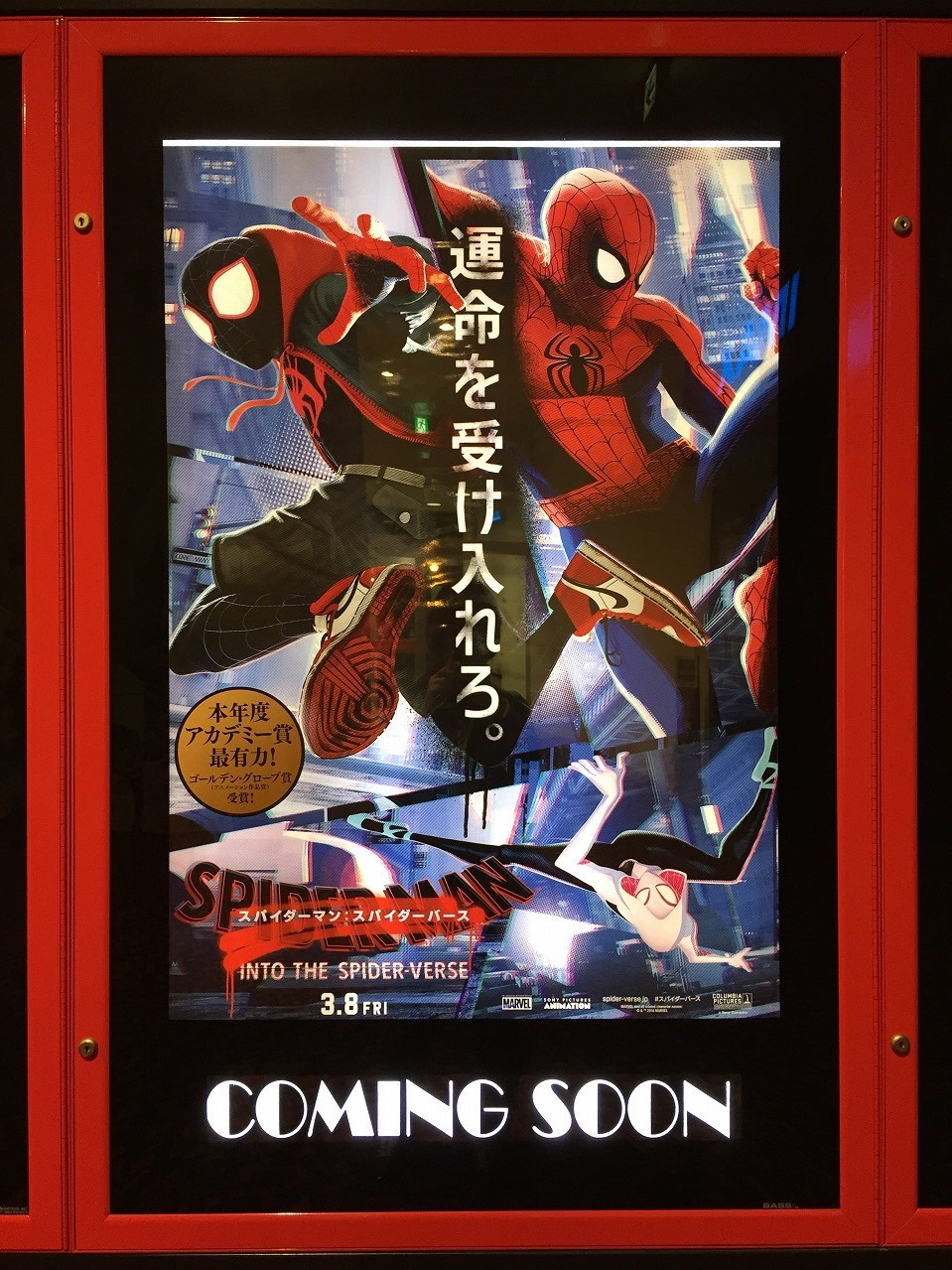 スパイダーマン スパイダーバース の劇場ポスター キャステル Castel ディズニー情報