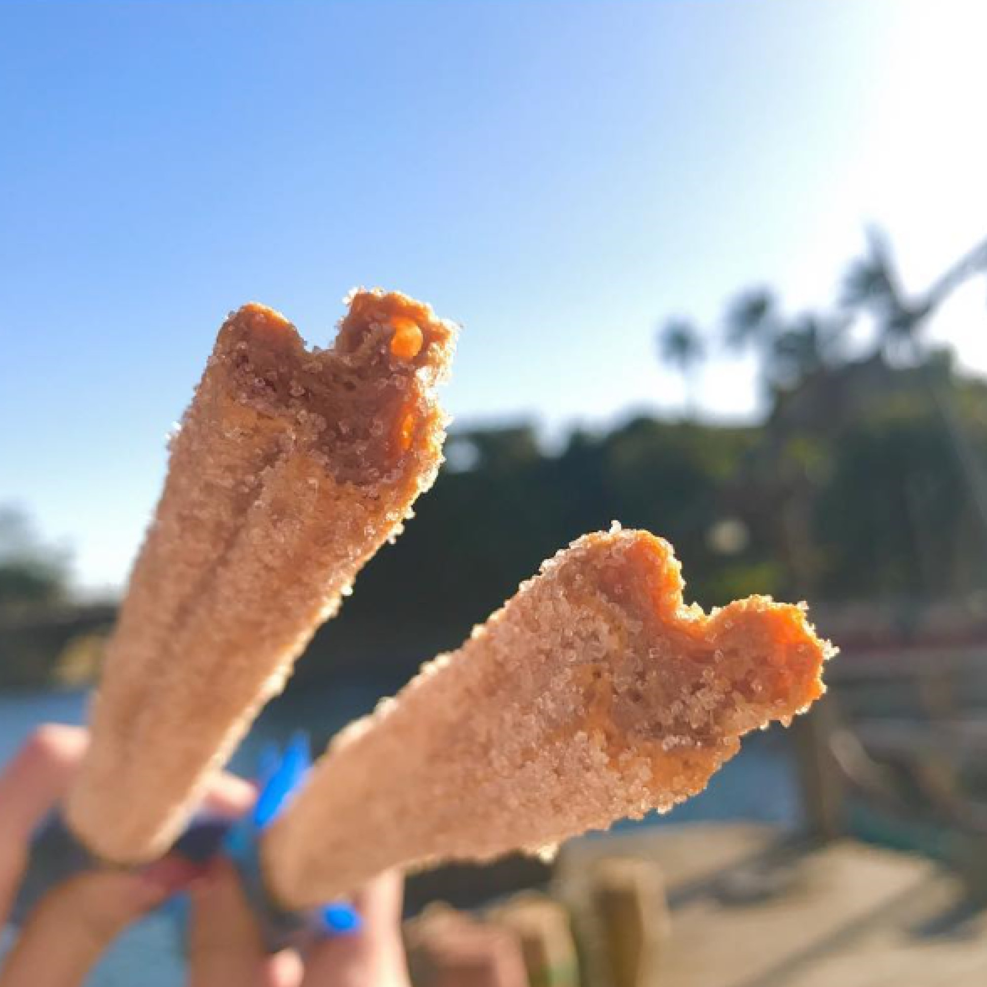 ミッキーチュロス キャステル Castel ディズニー情報