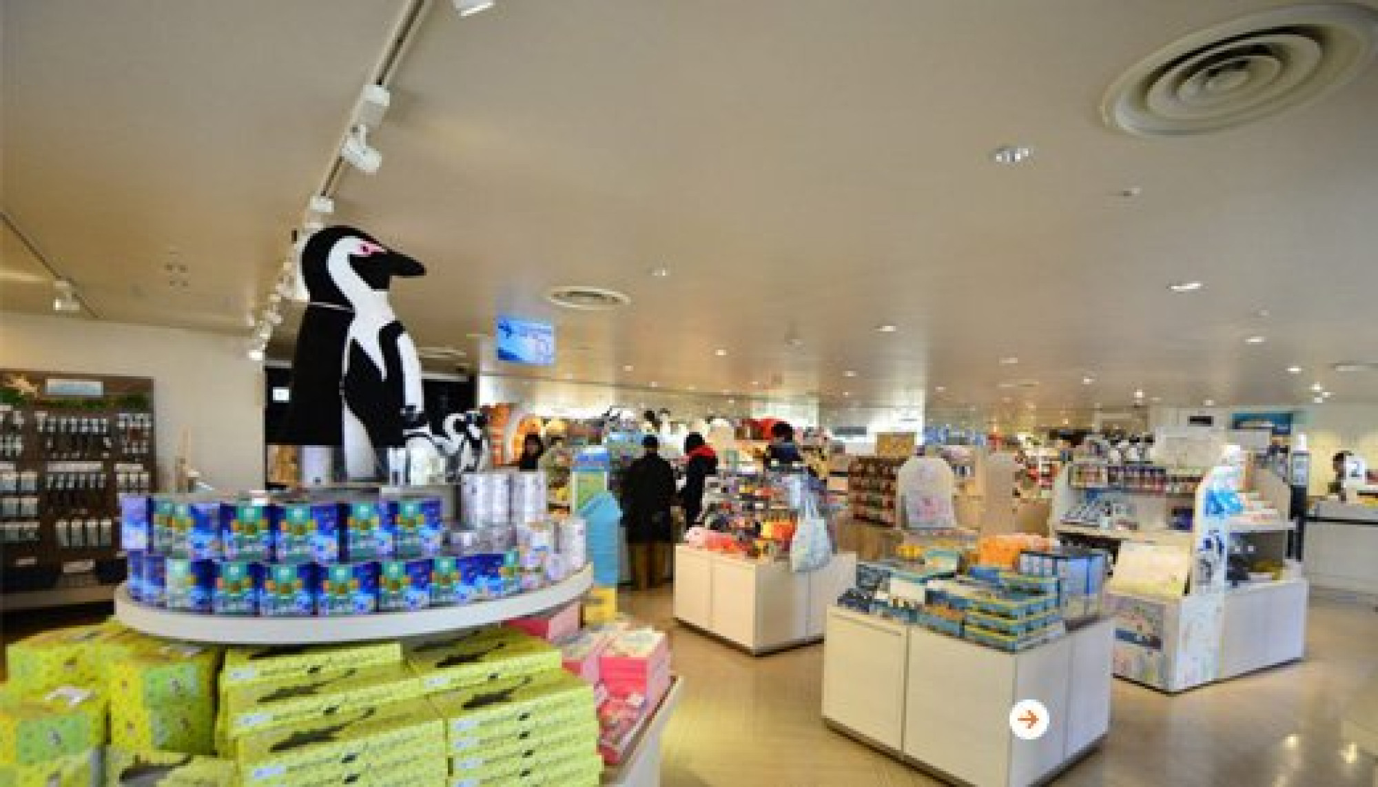 サンシャイン水族館のお土産ショップ キャステル Castel ディズニー情報