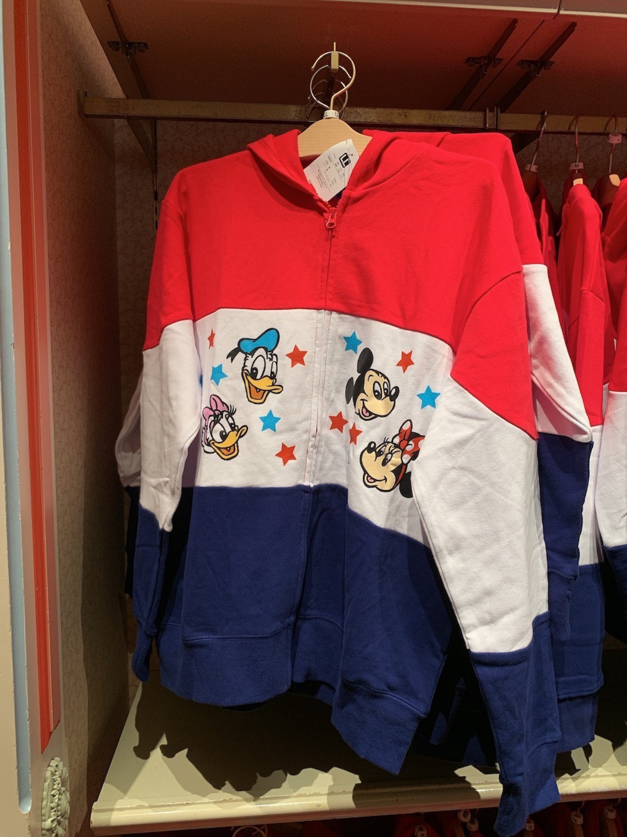 チームディズニーパーカー19 キャステル Castel ディズニー情報