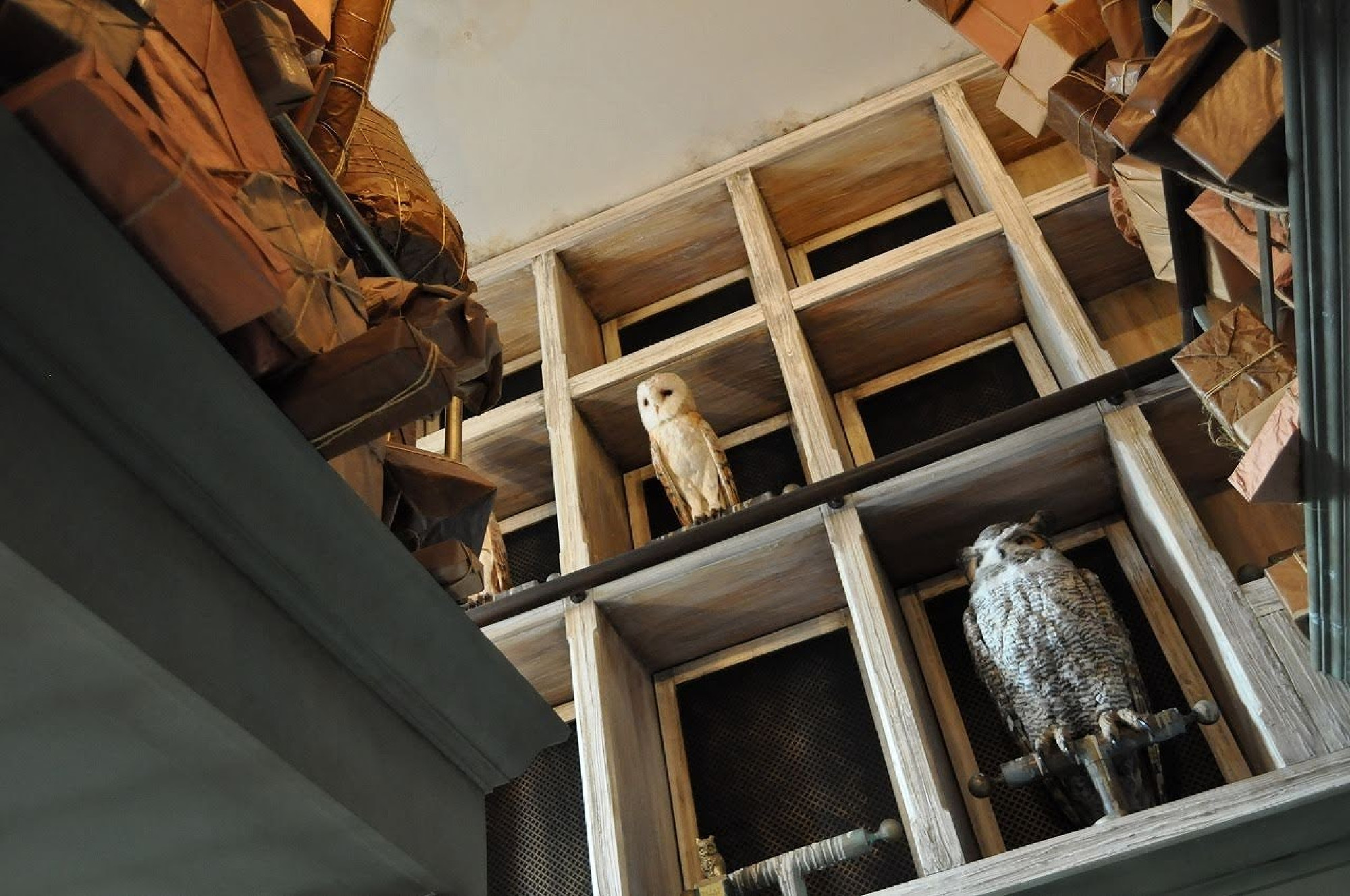 ハリーポッターのペットは白フクロウ Usj キャステル Castel ディズニー情報