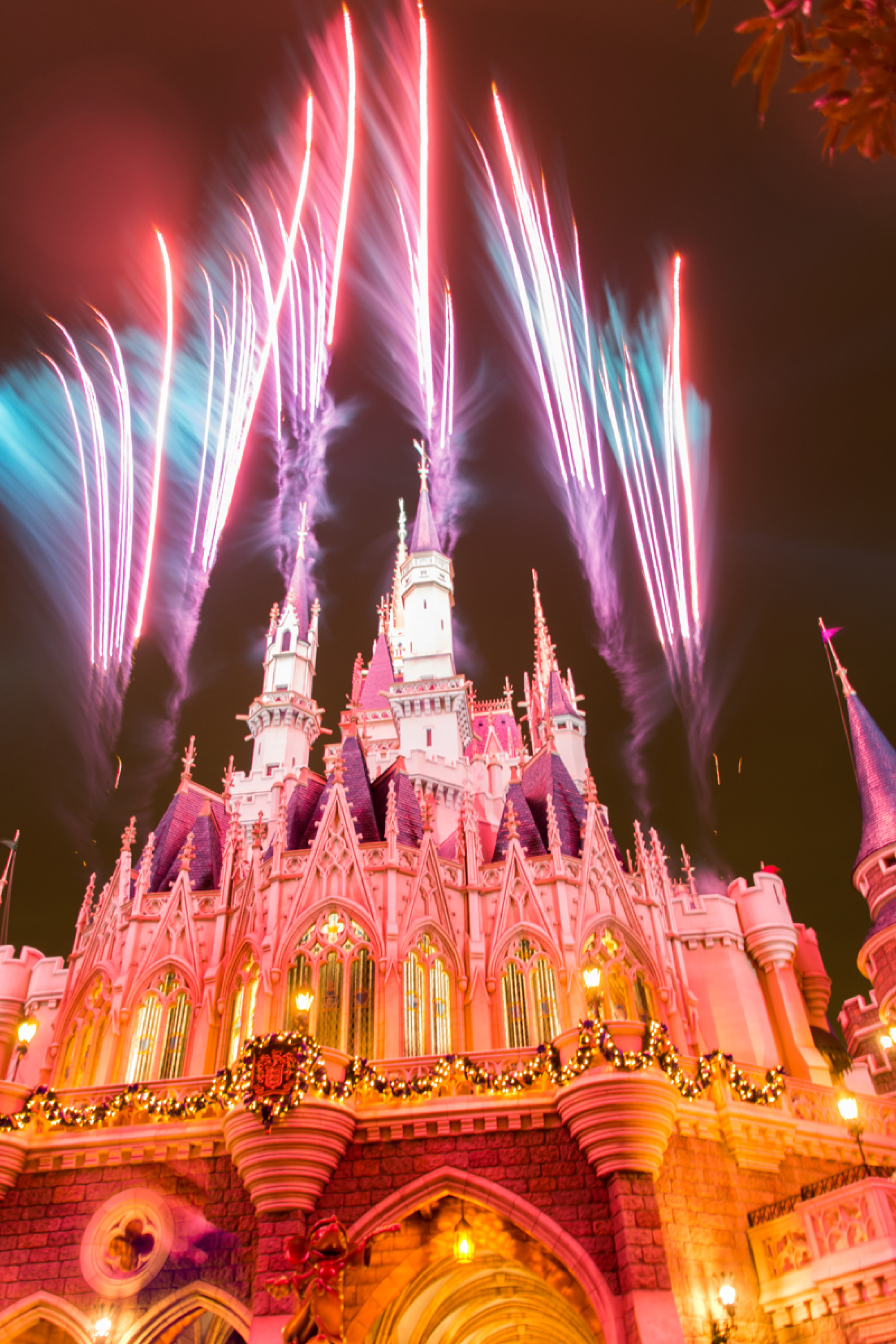 裏ワンス キャステル Castel ディズニー情報