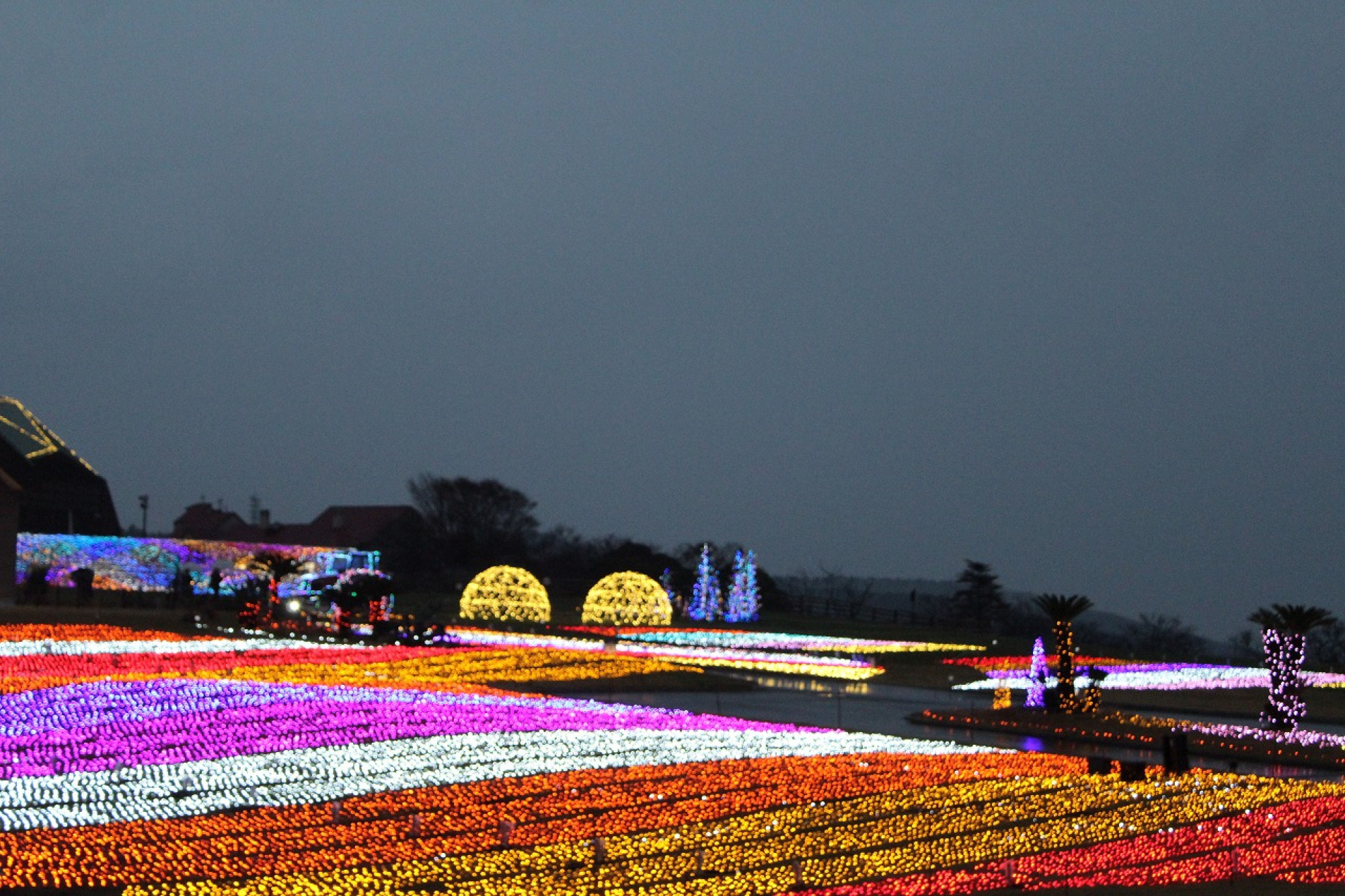 光の花畑 キャステル Castel ディズニー情報
