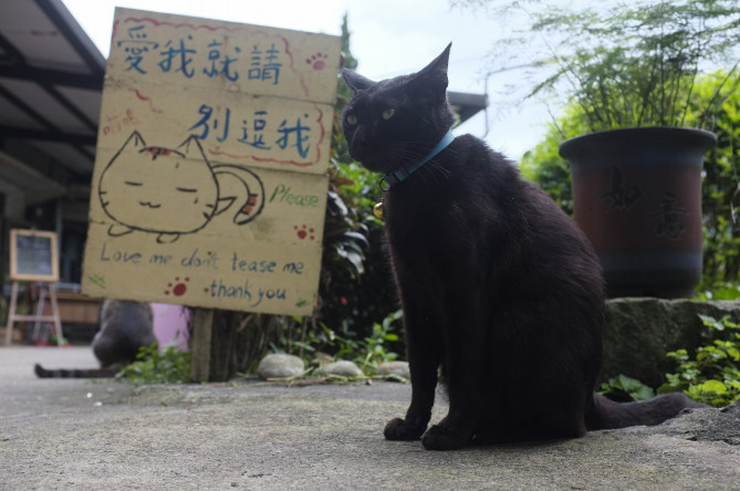 ネコ好きのためのパラダイス、猴硐猫村