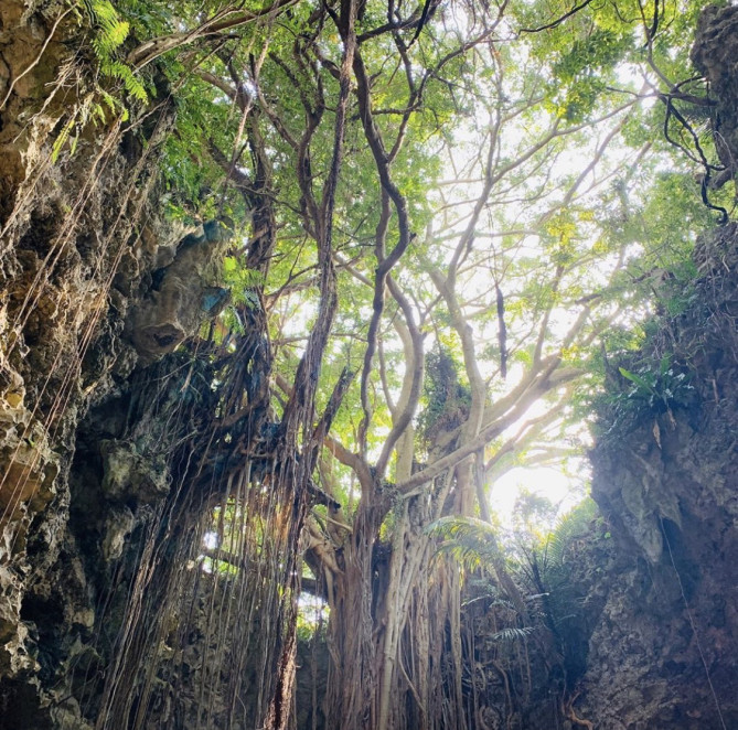 ガンガラーの谷