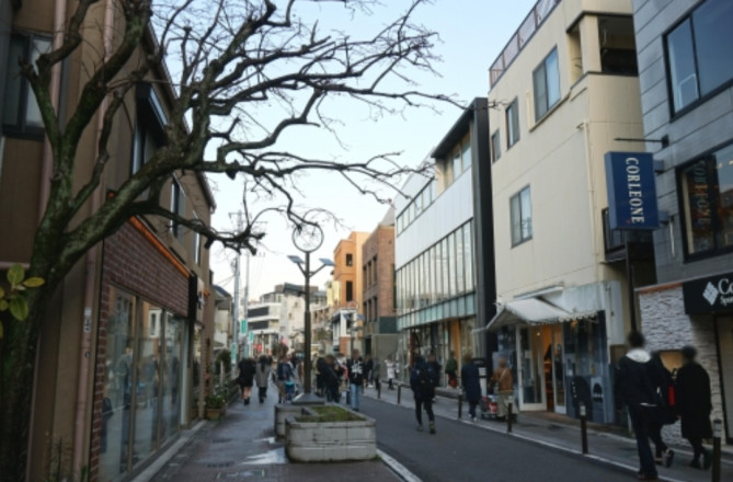 キャットストリート