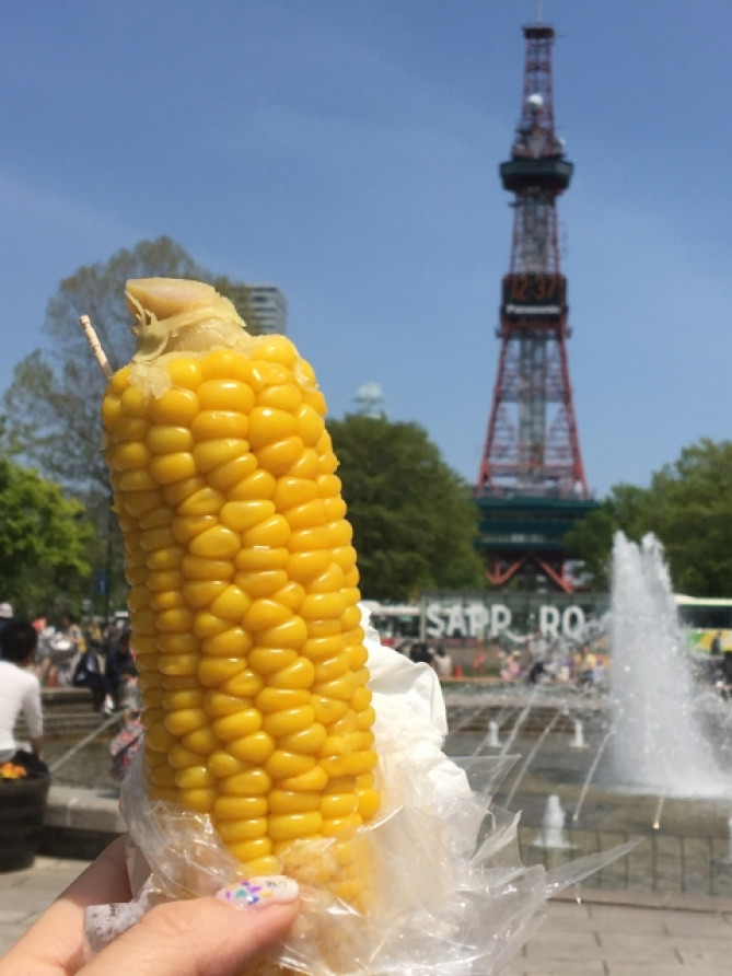 札幌大通り公園のとうもろこし