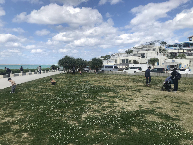 シロツメクサに大人も子供も夢中？テラス横には広大な芝生エリアがあります