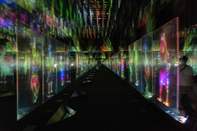 チームラボボーダレスお台場のアート