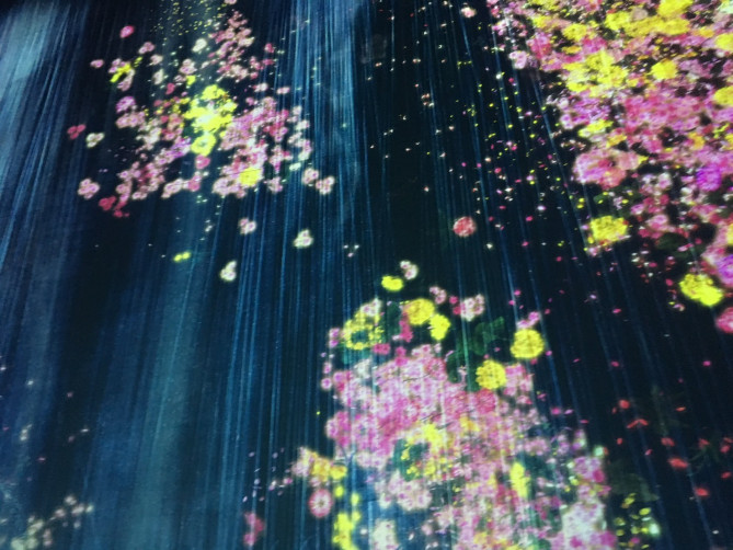 チームラボボーダレスお台場の作品