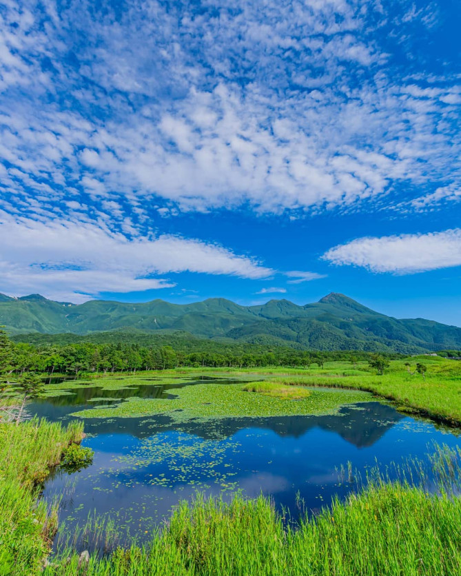 知床五湖越しの知床連山