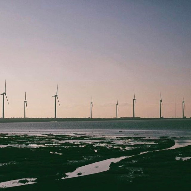 高美湿地の景色