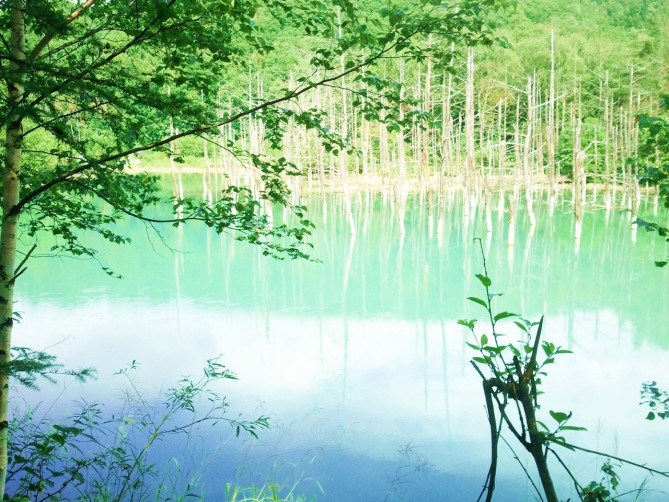 美瑛神社はどんなところ？
