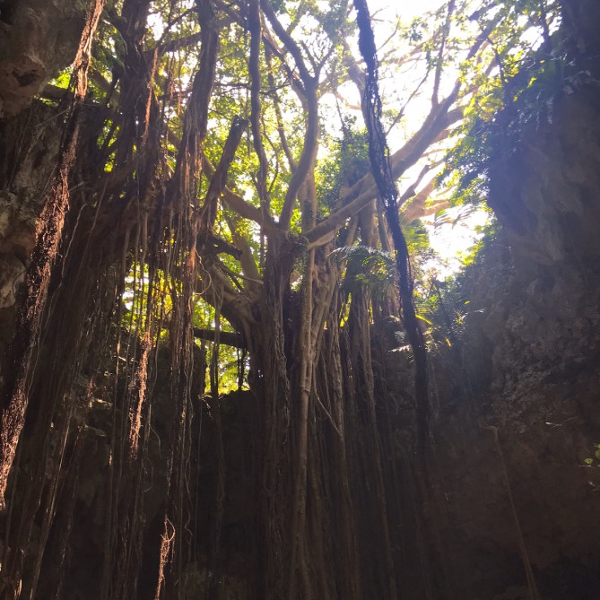 日差しが特別に思えるガンガラーの谷