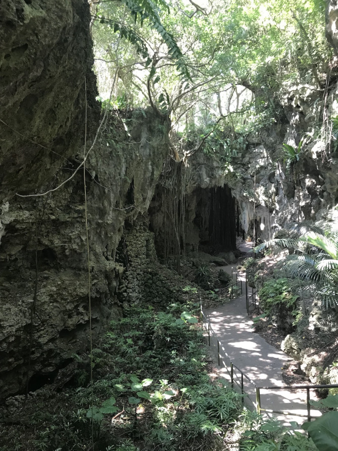 木の根を下から見上げる不思議体験ができるガンガラーの谷