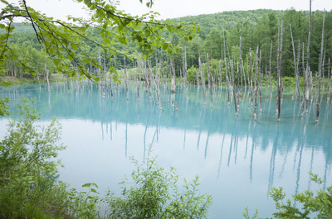 青い池