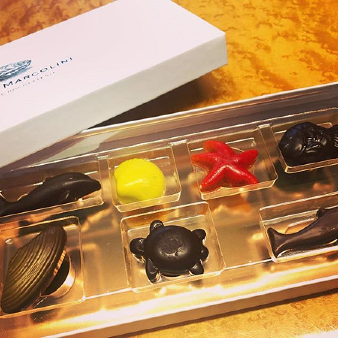 ピエールマルコリーニ　マルコリーニ セレクション