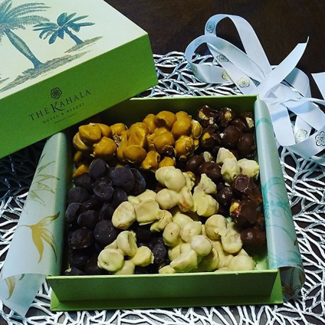 マカダミアチョコレート