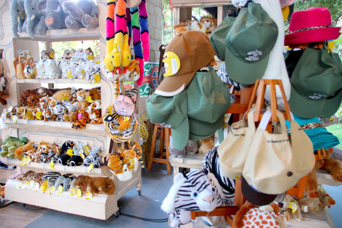 園外のショップ