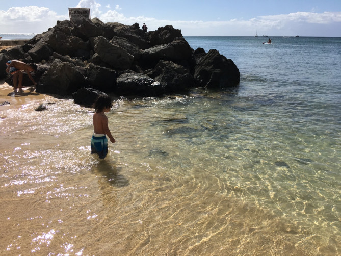 ダイヤモンドヘッドから見える砂浜