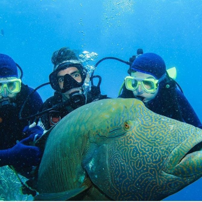 グレートバリアリーフ