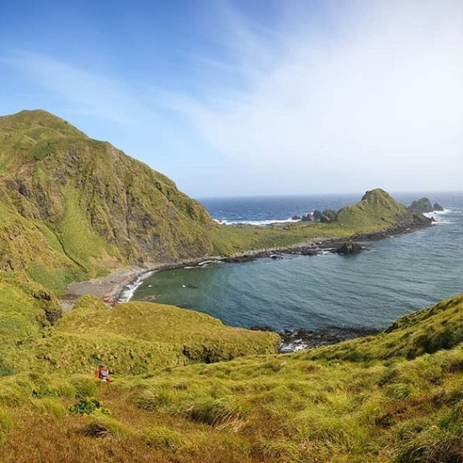 マッコーリー島