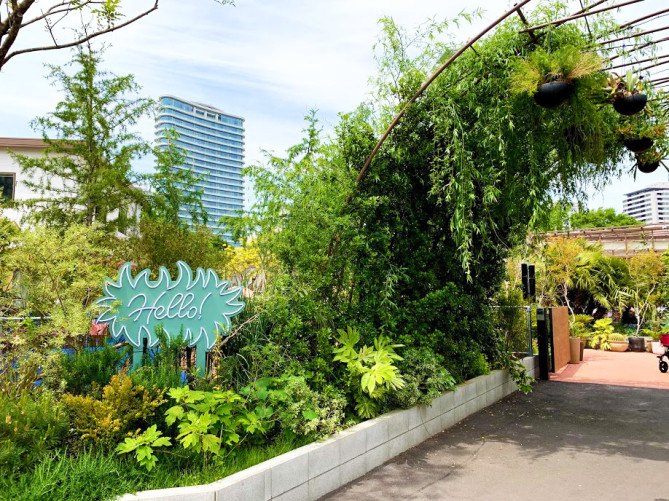 シェアグリーン南青山のエントランス