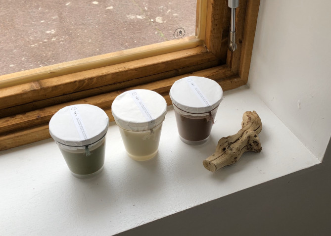 UMUの手作り天草プリン