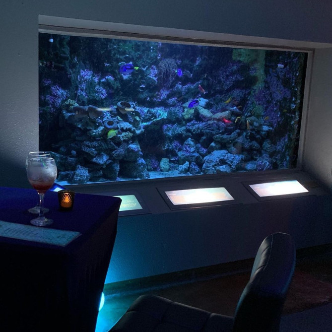 アンダーウォーターワールド：スプラッシュ