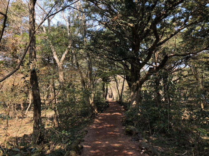 ピジャリムの遊歩道