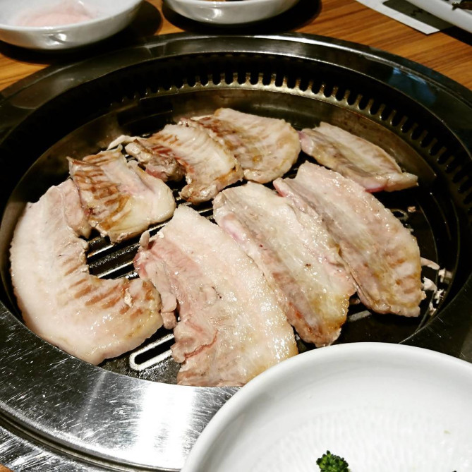 とんちゃんプラス