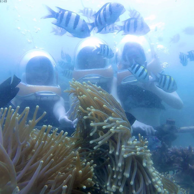 レンボンガン島　シーウォーカー