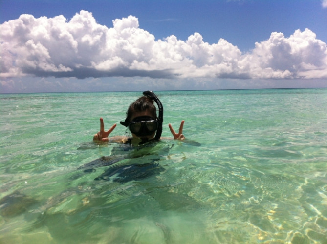 シューノケリング