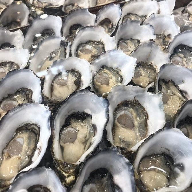 シドニー・フィッシュ・マーケット