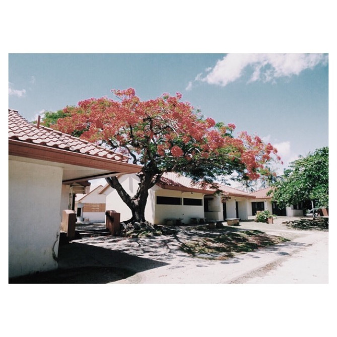 昼間のチャモロビレッジ