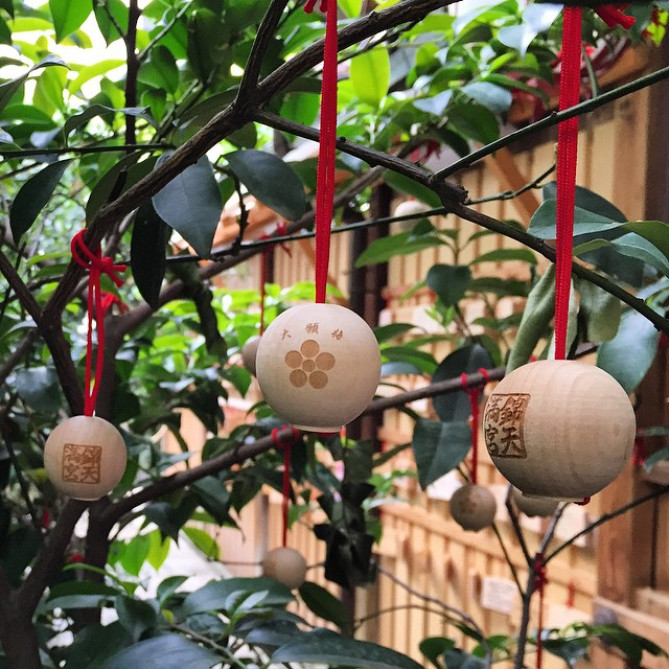 錦天満宮　大願梅