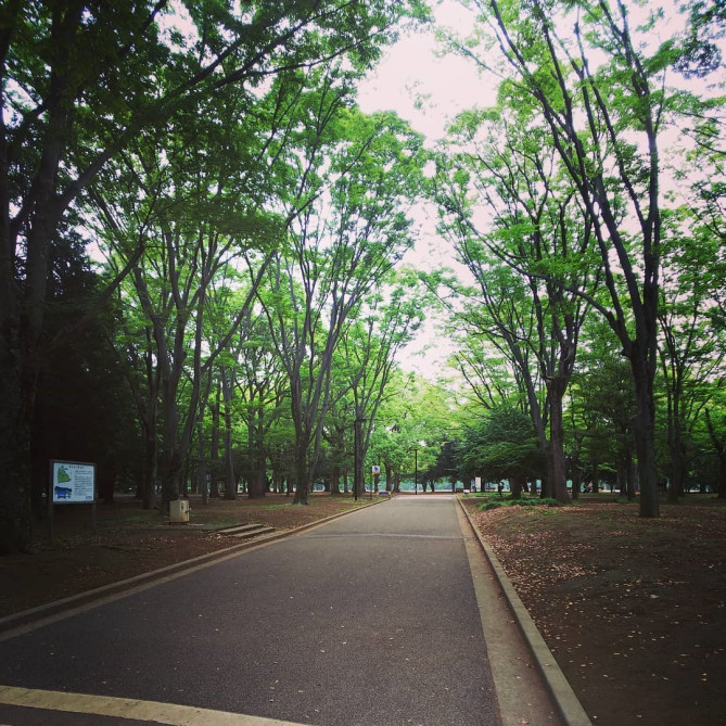 代々木公園