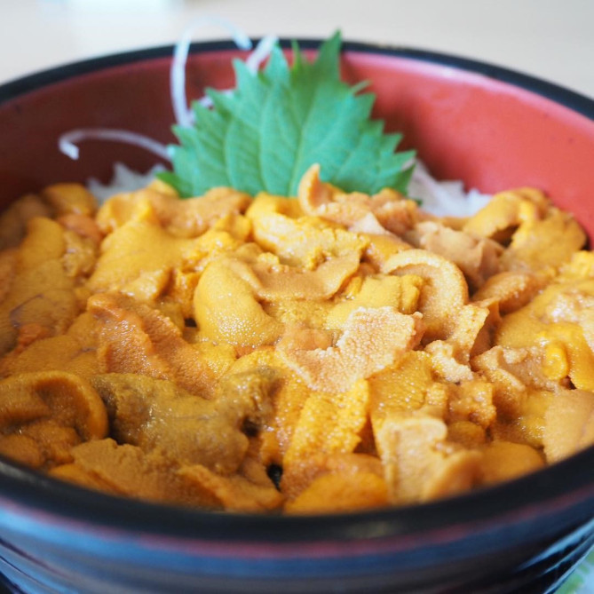 赤ばふん生ウニ丼