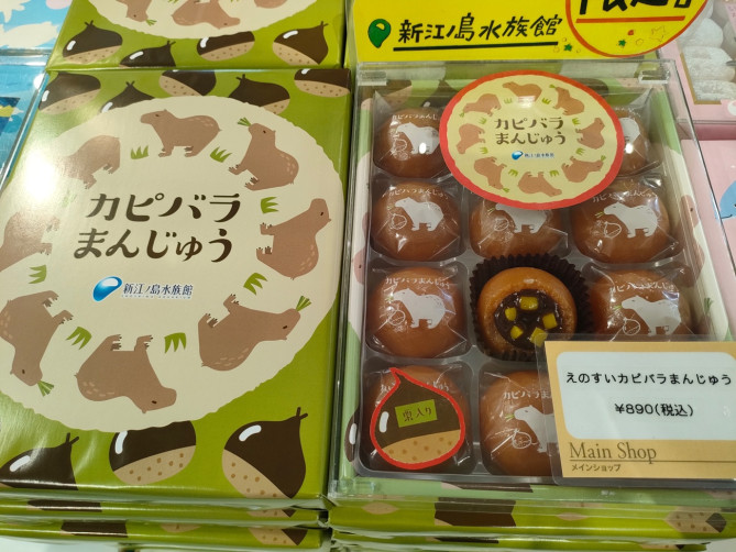 新江ノ島水族館（えのすい）お土産：カピバラまんじゅう