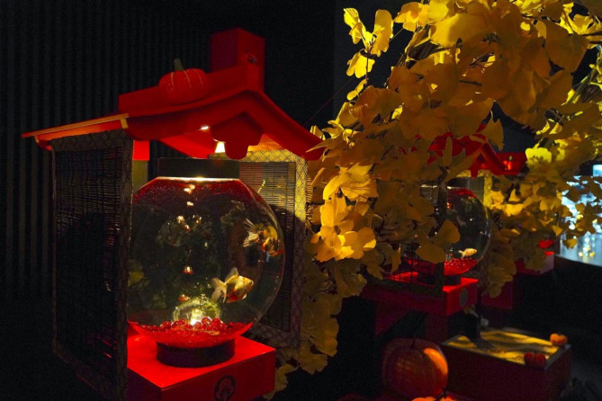 アートアクアリウム美術館 GINZA：季節の移り変わりが感じられるエリア