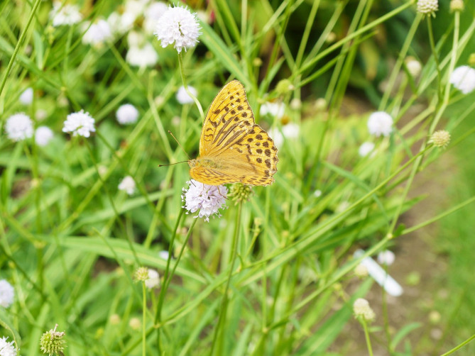 植物がいっぱい！