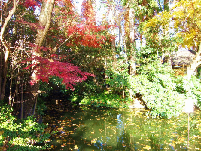 渓谷の自然を満喫しよう